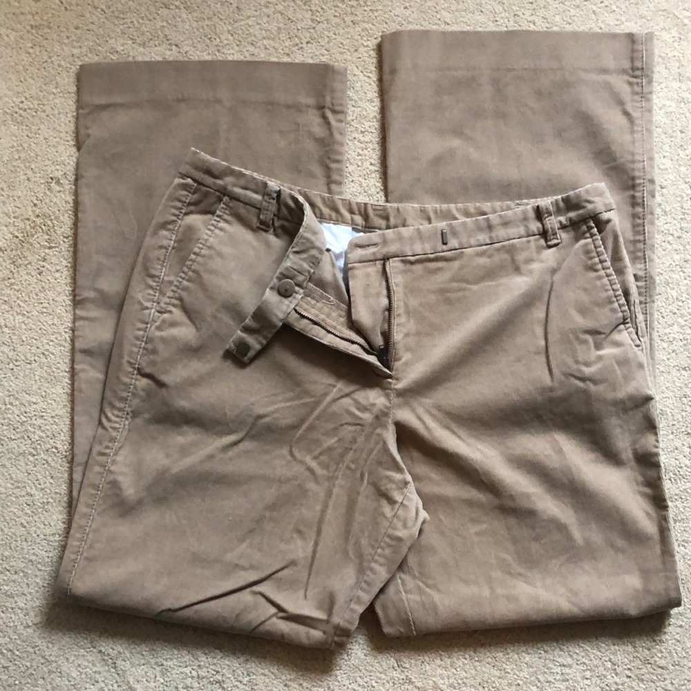 Ann Taylor LOFT (Petites)